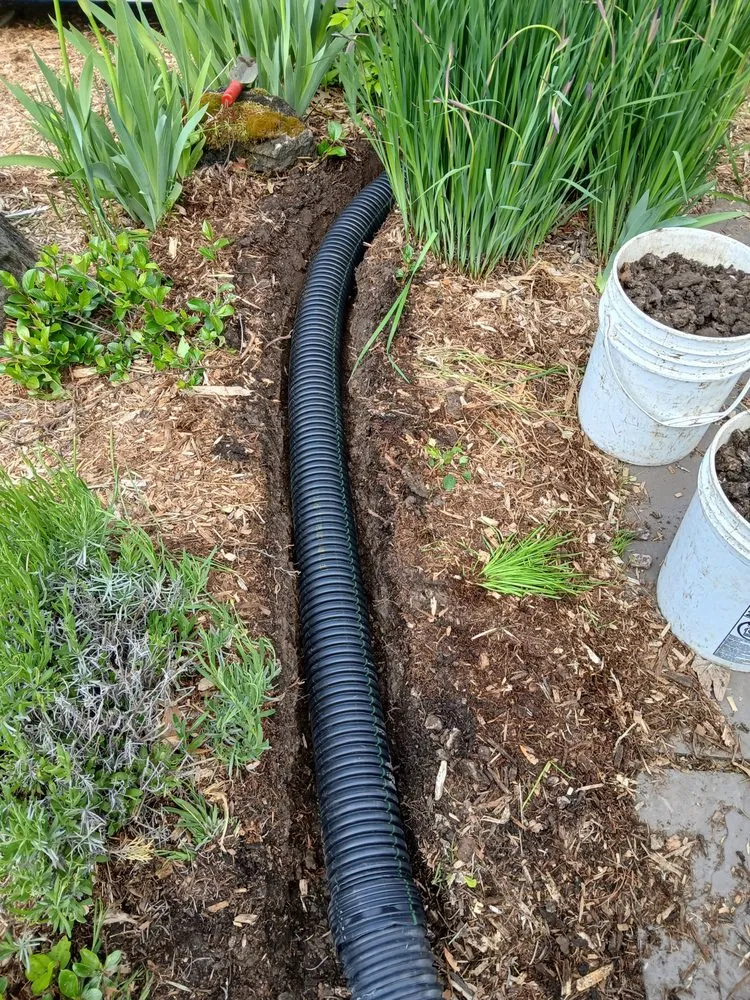 Professional residential landscaping with custom design in Grand Rapids, MI by Sunnyside Landscaping