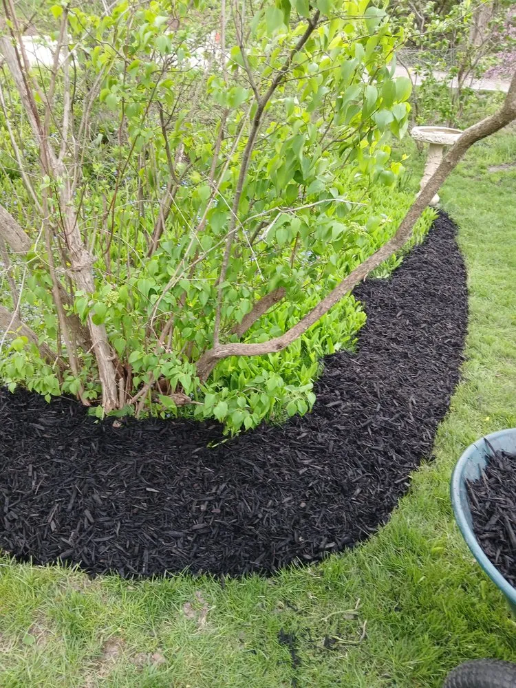 Local yard cleanup service with custom design in Grand Rapids, MI by Sunnyside Landscaping
