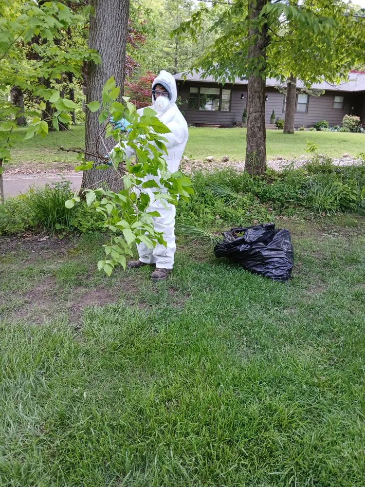 Top-rated yard maintenance for beautiful yards across Grand Rapids, MI - Sunnyside Landscaping