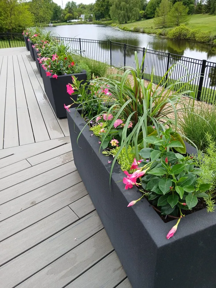 Trusted yard cleanup service in Grand Rapids, MI - Sunnyside Landscaping