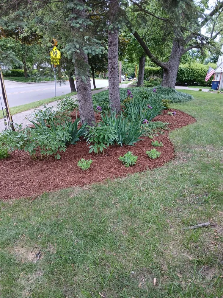 Custom yard cleanup service in Grand Rapids, MI by Sunnyside Landscaping