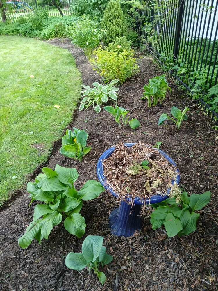 Local yard cleanup service in Grand Rapids, MI - Sunnyside Landscaping