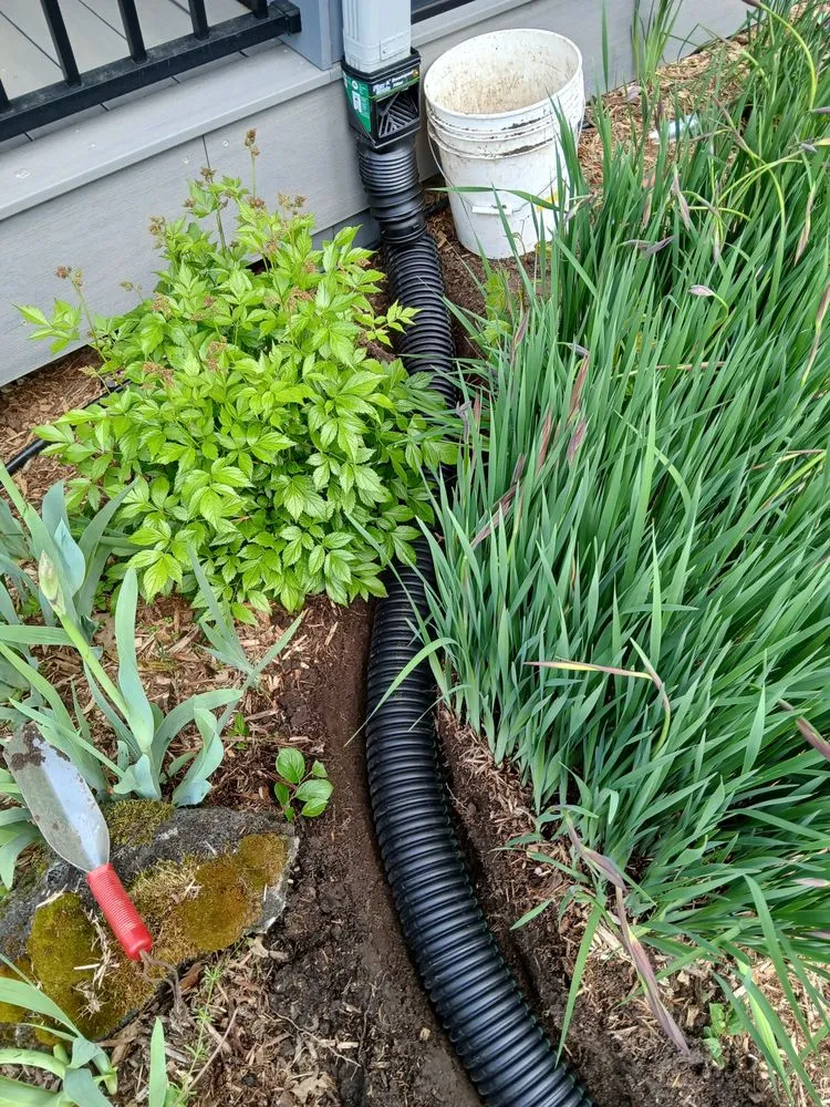 Trusted yard maintenance in Grand Rapids, MI by Sunnyside Landscaping