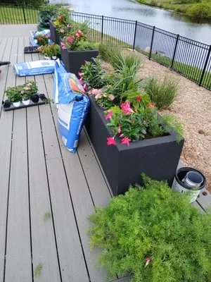 Sunnyside Landscaping Logo