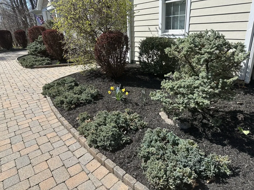 Trusted lawn mowing service in Landing, NJ - Sunnyside Landscaping