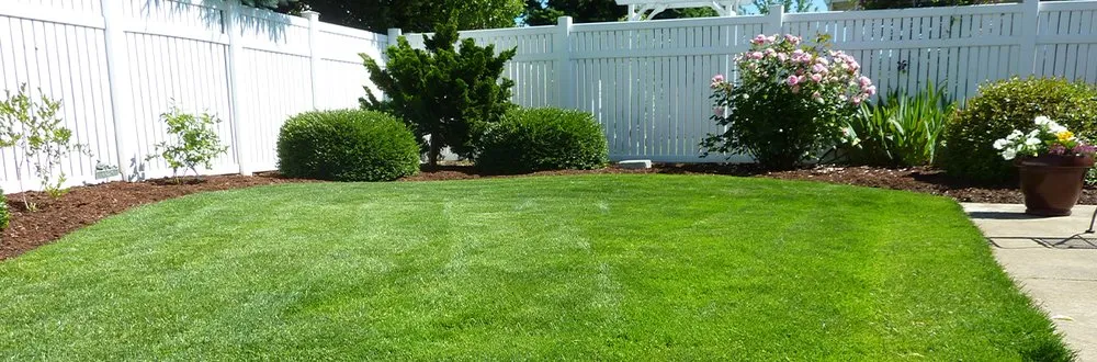 Reliable yard maintenance in Detroit, MI - Sunnyside Lawn & Snow