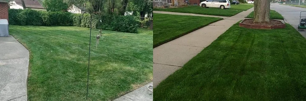 Professional lawn care service experts serving Detroit, MI - Sunnyside Lawn & Snow