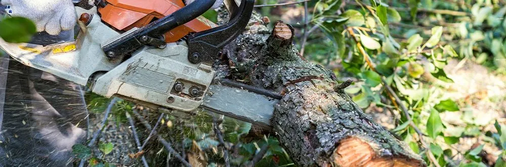 Professional landscape installation in Detroit, MI - Sunnyside Lawn & Snow