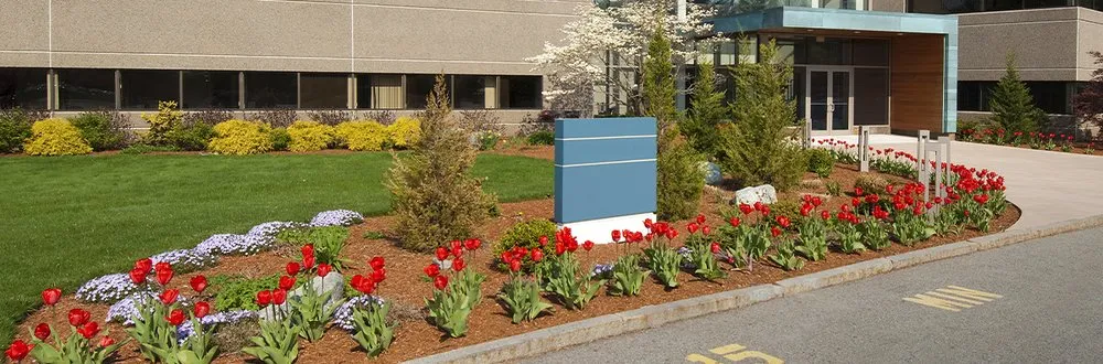 Trusted lawn mowing service in Detroit, MI - Sunnyside Lawn & Snow