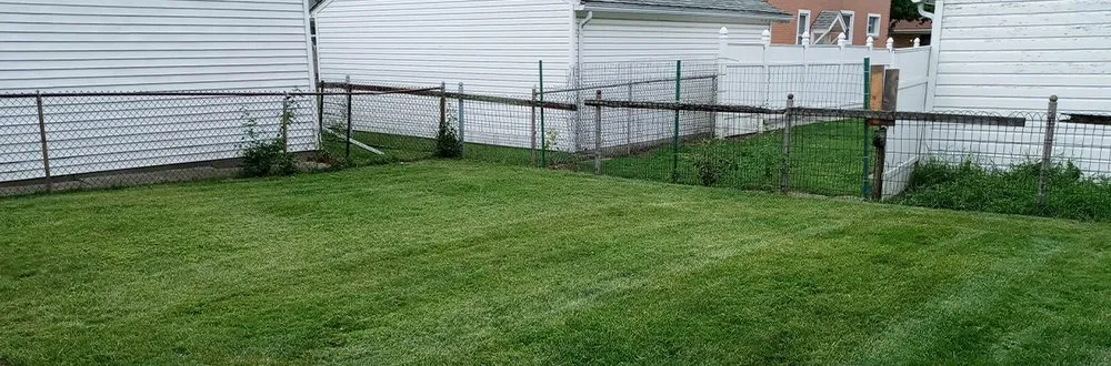 Expert landscape installation for year-round maintenance in Detroit, MI by Sunnyside Lawn & Snow