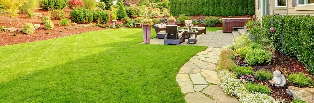 Professional yard maintenance experts serving Detroit, MI - Sunnyside Lawn & Snow