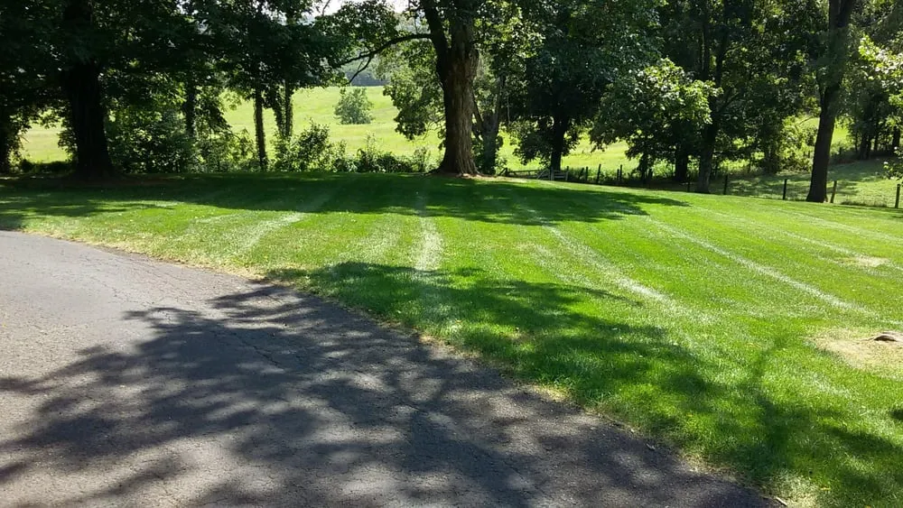Trusted lawn care service in Blacksburg, VA - Sunnyside Lawn Care