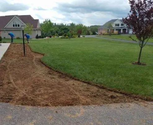 Expert yard cleanup service in Blacksburg, VA - Sunnyside Lawn Care