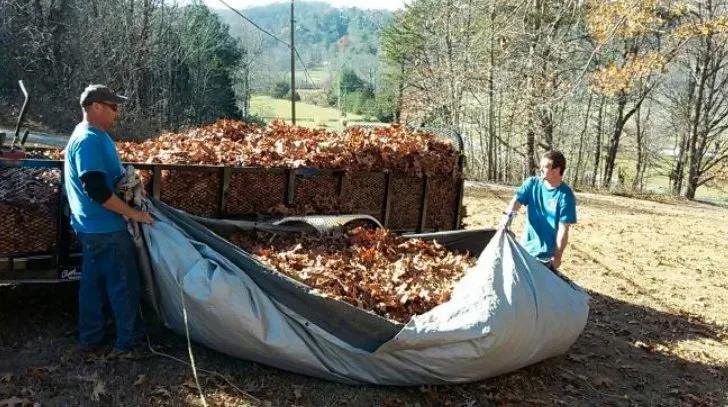 Reliable yard cleanup service for year-round maintenance in Blacksburg, VA by Sunnyside Lawn Care