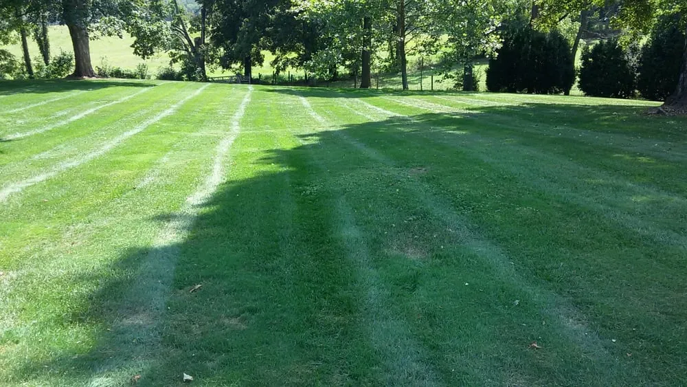 Custom lawn care service in Blacksburg, VA - Sunnyside Lawn Care