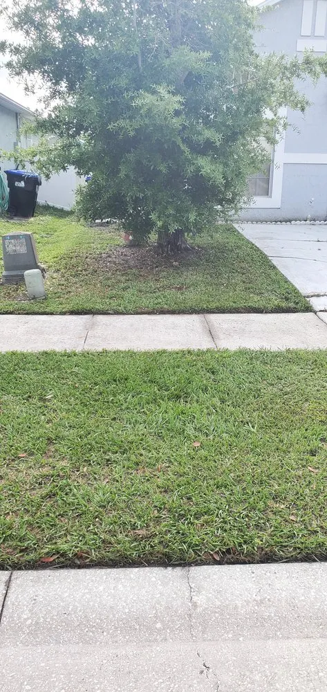 Top-rated lawn care service near you across Orlando, FL - SunnySide Lawn Care