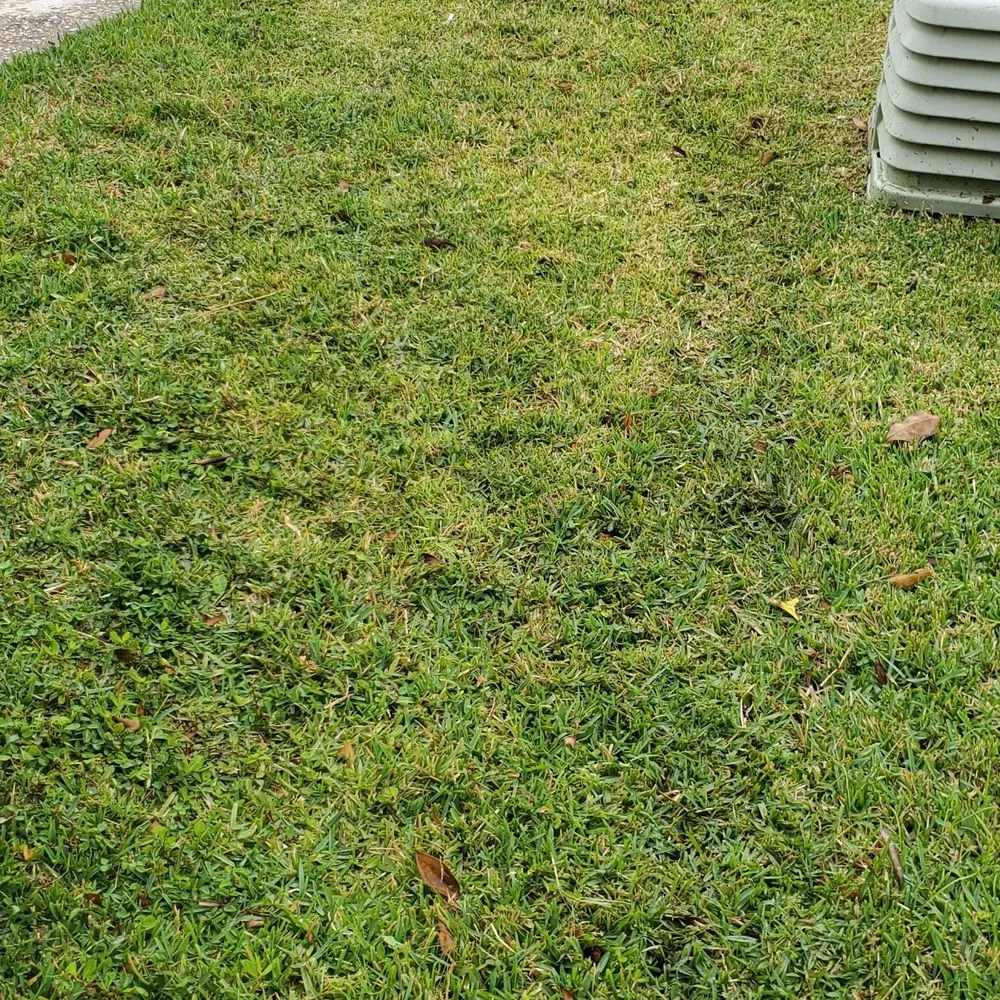 Local lawn mowing service in Orlando, FL by SunnySide Lawn Care