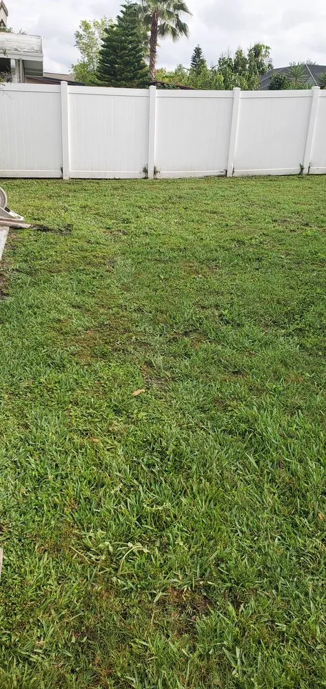 Custom outdoor landscaping experts serving Orlando, FL - SunnySide Lawn Care