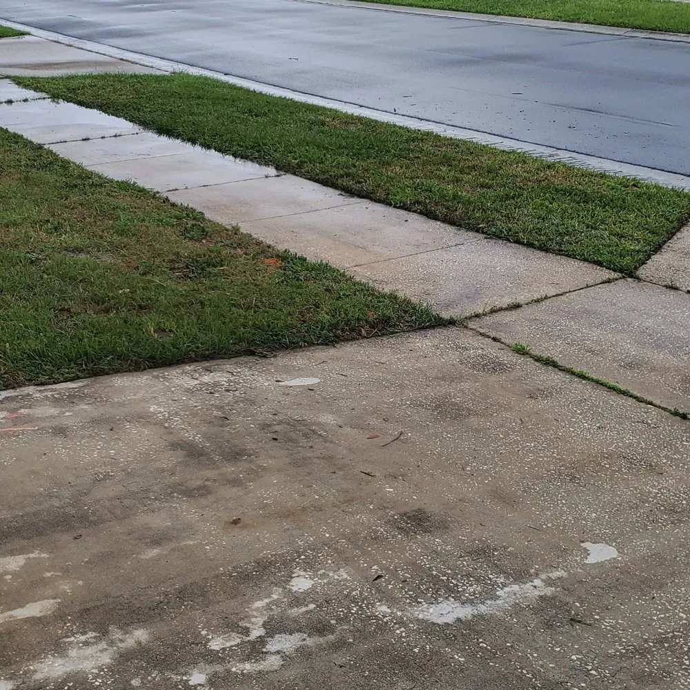 Reliable lawn care service for homes across Orlando, FL - SunnySide Lawn Care