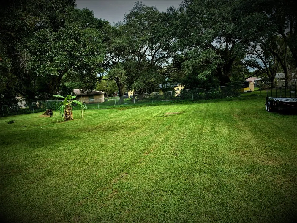 Expert lawn care service in Lakeland, FL - SunnySide Lawn Care Services