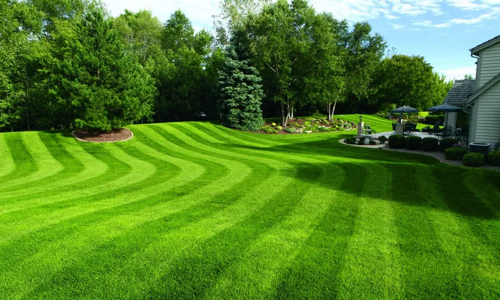 Trusted landscape design near you in Lakeland, FL by SunnySide Lawn Care Services