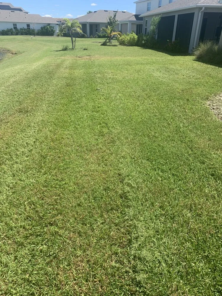 Professional lawn care service for year-round maintenance in Sarasota, FL by Sunnyside Scapes