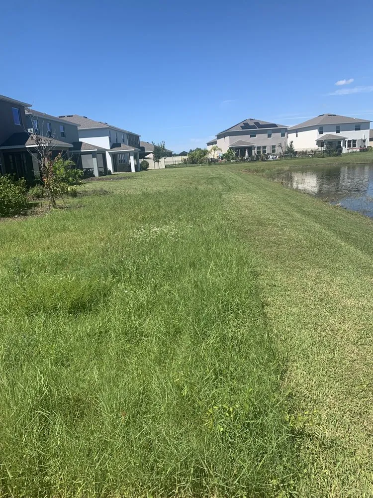 Local garden landscaping for year-round maintenance in Sarasota, FL by Sunnyside Scapes