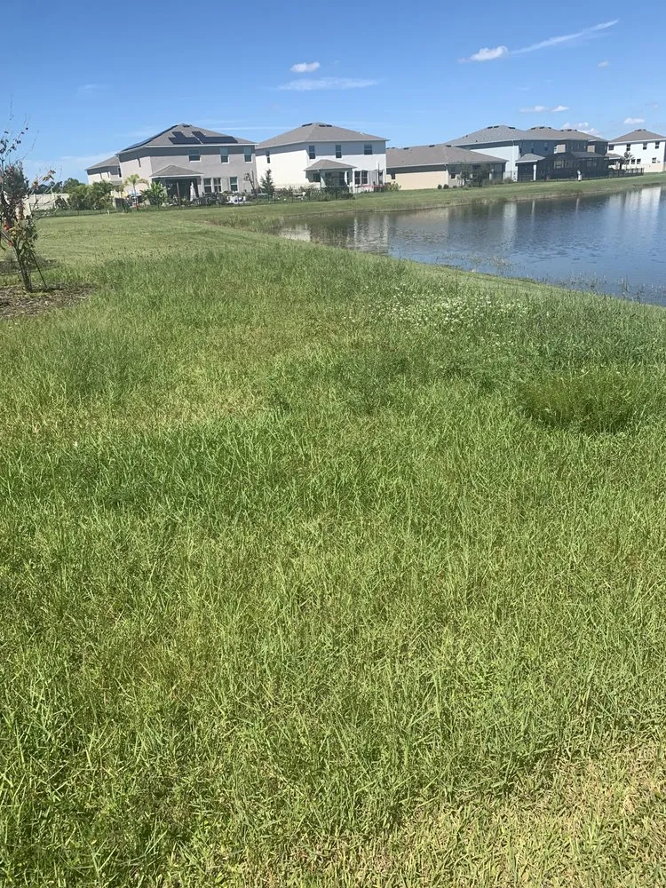 Reliable outdoor landscaping for homes in Sarasota, FL by Sunnyside Scapes