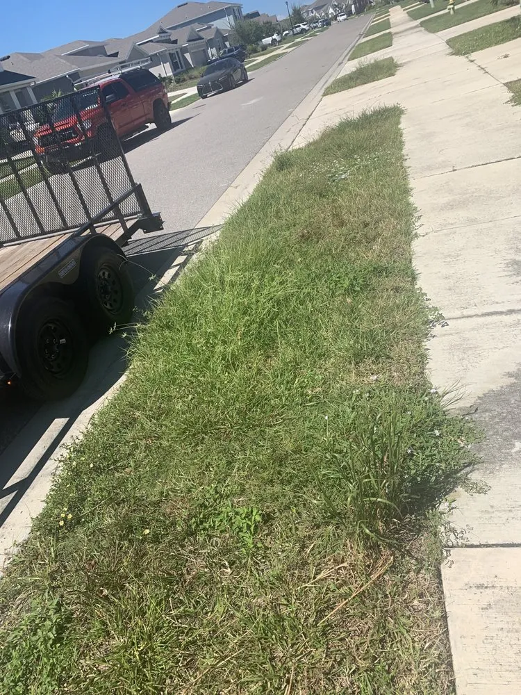 Professional residential landscaping experts serving Sarasota, FL - Sunnyside Scapes