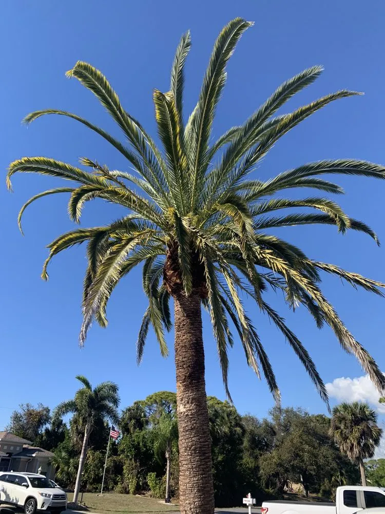 Professional outdoor landscaping experts serving Sarasota, FL - Sunnyside Scapes