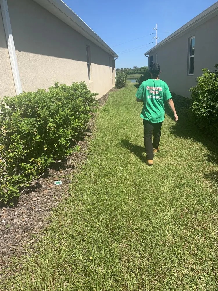 Expert landscaping services for outdoor upgrades across Sarasota, FL - Sunnyside Scapes