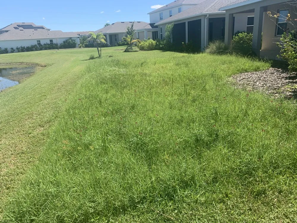 Reliable lawn mowing service experts serving Sarasota, FL - Sunnyside Scapes