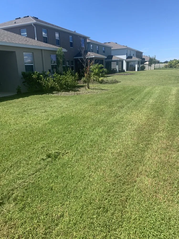 Top-rated garden landscaping in Sarasota, FL - Sunnyside Scapes