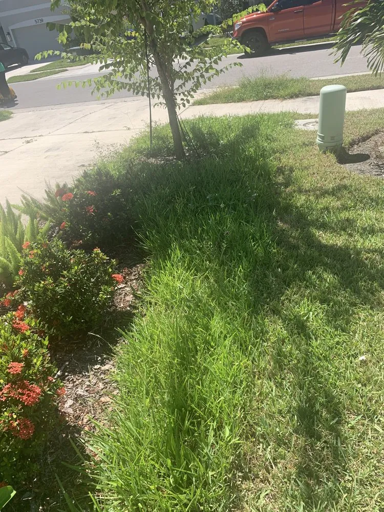 Reliable landscaping services in Sarasota, FL by Sunnyside Scapes