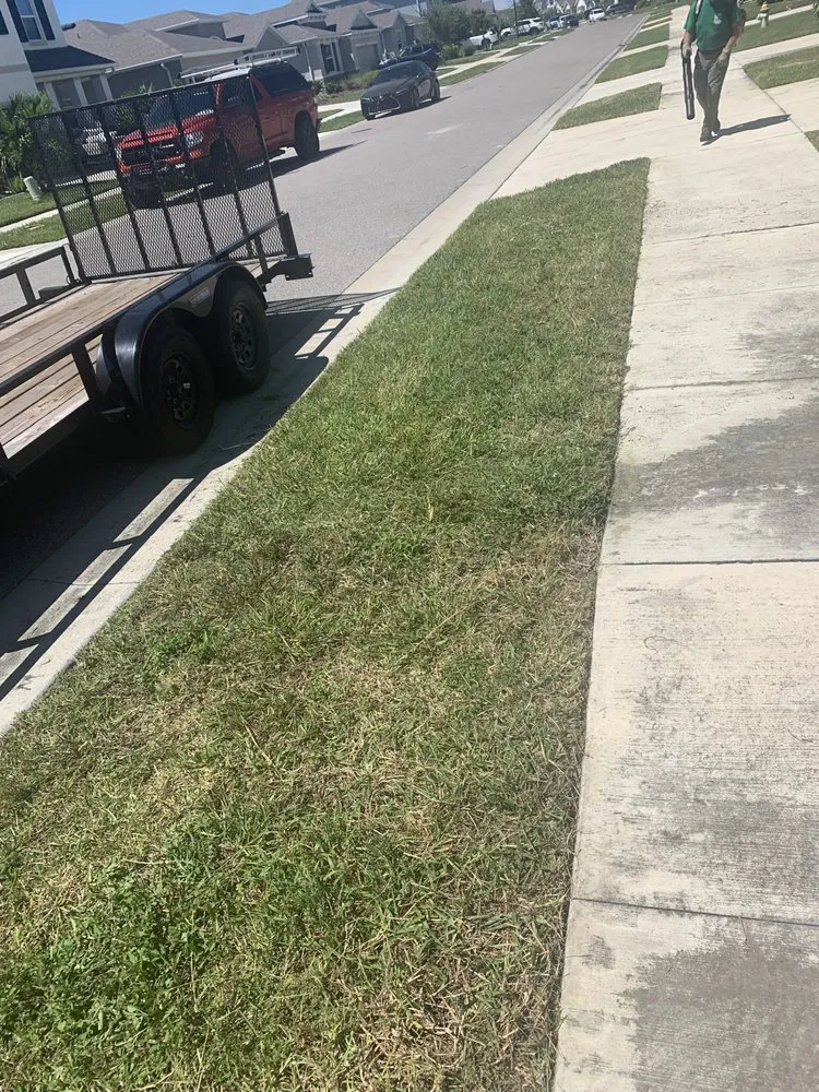 Trusted yard maintenance experts serving Sarasota, FL - Sunnyside Scapes