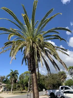 Sunnyside Scapes Logo