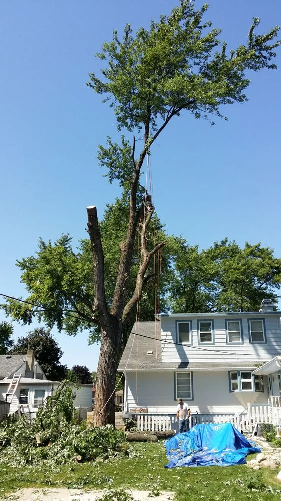 Trusted garden landscaping for outdoor upgrades across Bridgeview, IL - Sunnyview Landscaping