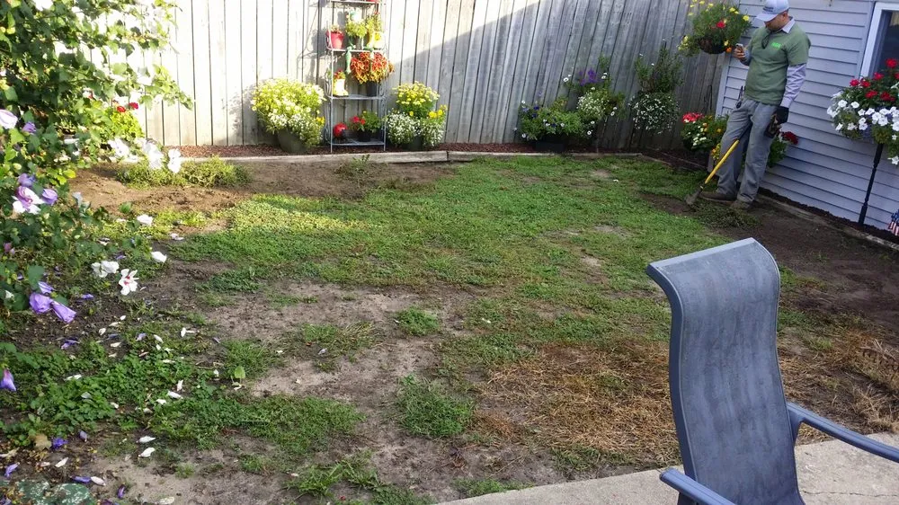 Local landscaping services near you in Bridgeview, IL by Sunnyview Landscaping