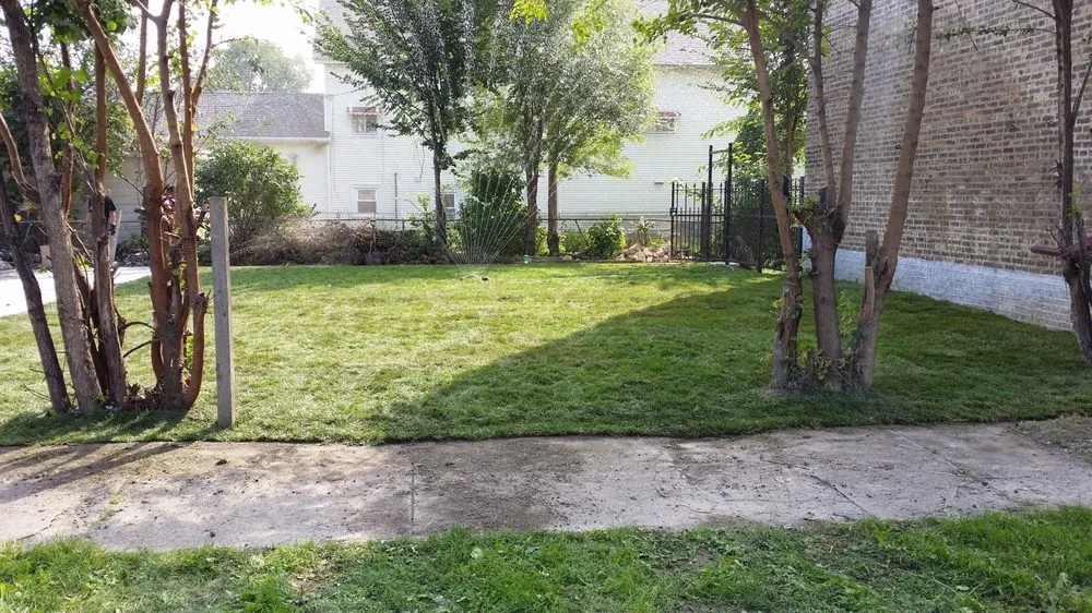 Top-rated lawn care service in Bridgeview, IL by Sunnyview Landscaping