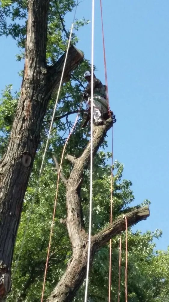 Local lawn mowing service in Bridgeview, IL - Sunnyview Landscaping