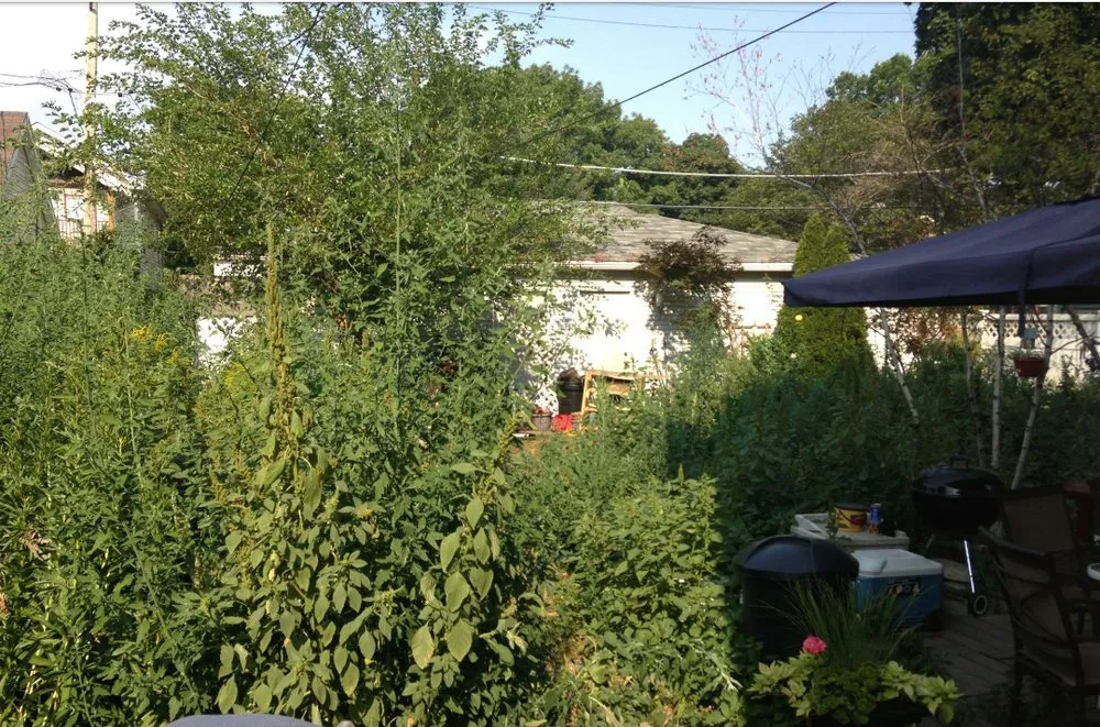 Local landscaping services experts serving Bridgeview, IL - Sunnyview Landscaping