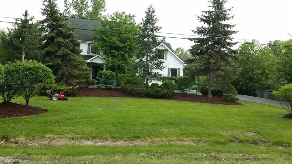 Professional outdoor landscaping in Bridgeview, IL - Sunnyview Landscaping