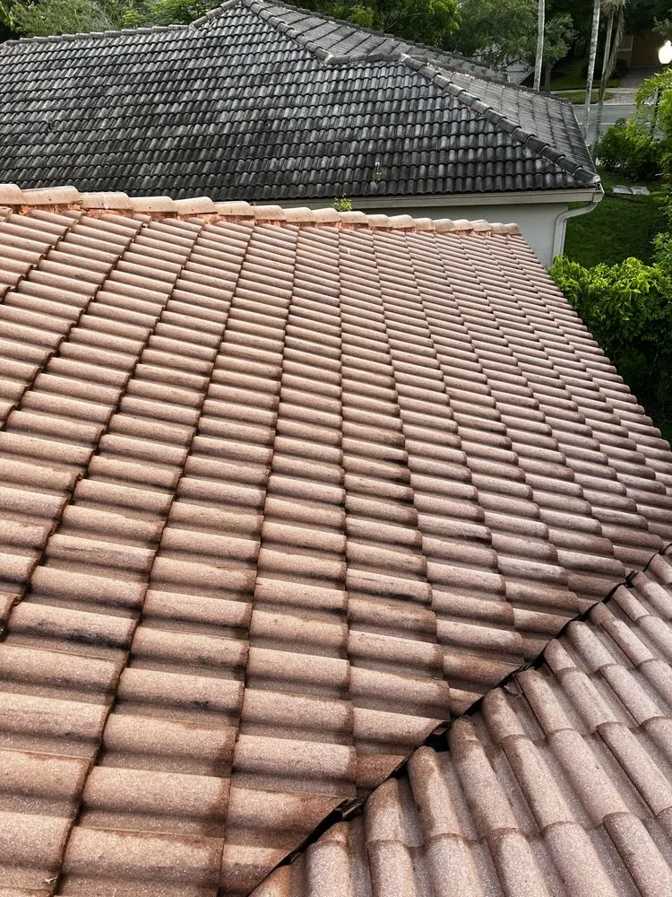 Reliable outdoor landscaping in Davie, FL - Sunpro Solutions