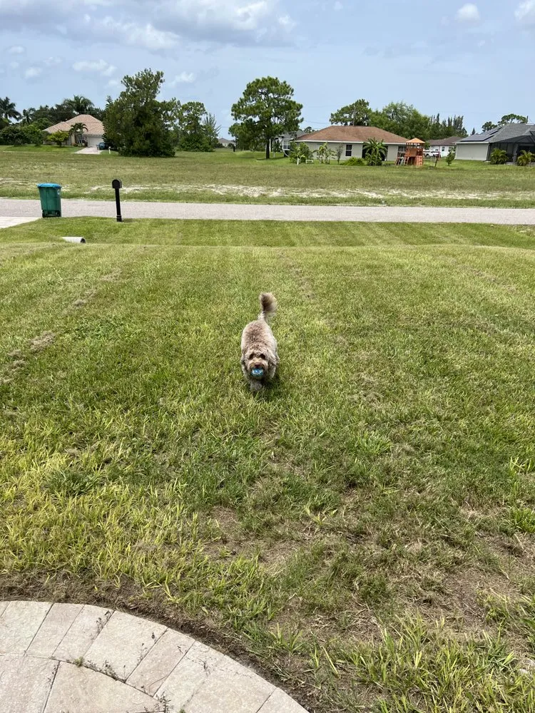 Custom garden landscaping for homes in Davie, FL by Sunpro Solutions