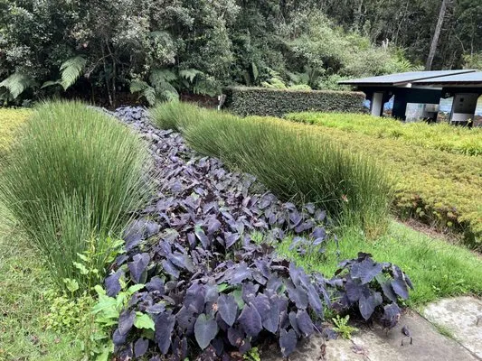 Sunpro Solutions Logo