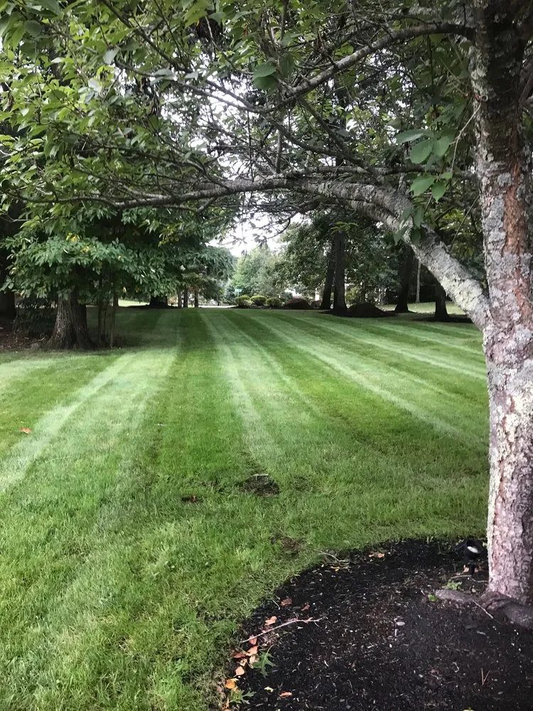 Affordable yard maintenance for year-round maintenance across Sharon, MA - Sunrays Lawn Care