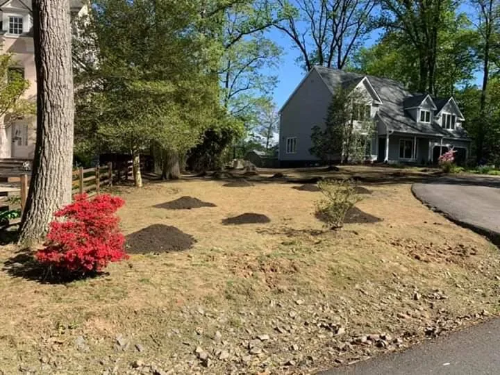 Custom lawn mowing service in Manassas, VA by Sunrise Exterior Services