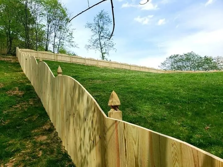 Top-rated yard cleanup service in Manassas, VA by Sunrise Exterior Services