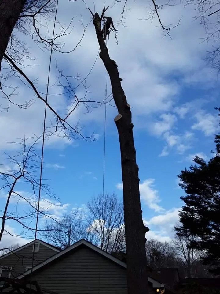 Affordable lawn mowing service for outdoor upgrades in Manassas, VA by Sunrise Exterior Services