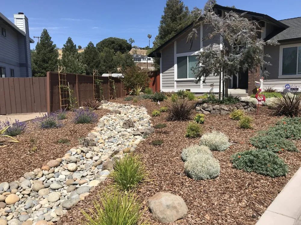 Local garden landscaping for outdoor upgrades across Concord, CA - Sunrise Garden Design